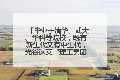 毕业于清华、武大、华科等院校，既有新生代又有中生代，光谷这支“理工男团”为何“出道”？