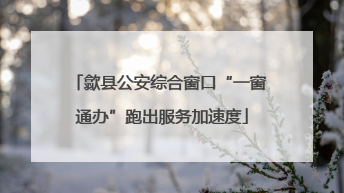 歙县公安综合窗口“一窗通办”跑出服务加速度
