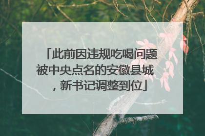此前因违规吃喝问题被中央点名的安徽县城，新书记调整到位
