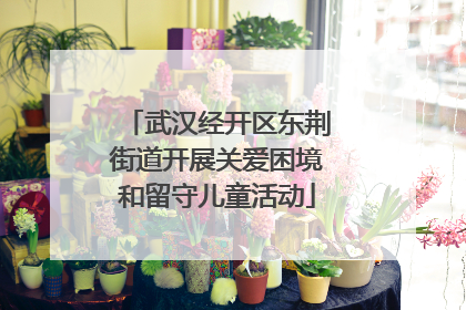 武汉经开区东荆街道开展关爱困境和留守儿童活动
