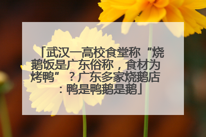 武汉一高校食堂称“烧鹅饭是广东俗称，食材为烤鸭”？广东多家烧鹅店：鸭是鸭鹅是鹅