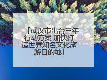 武汉市出台三年行动方案 加快打造世界知名文化旅游目的地