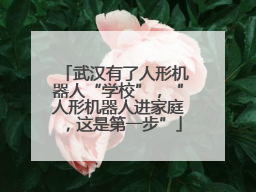 武汉有了人形机器人“学校”，“人形机器人进家庭，这是第一步”