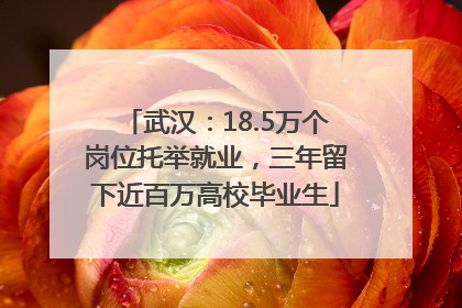 武汉：18.5万个岗位托举就业，三年留下近百万高校毕业生