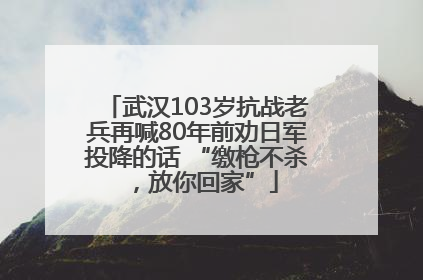 武汉103岁抗战老兵再喊80年前劝日军投降的话 “缴枪不杀，放你回家”