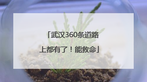 武汉360条道路上都有了！能救命