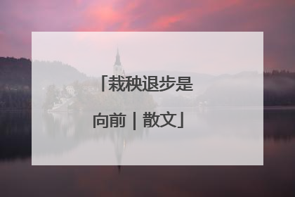 栽秧退步是向前｜散文