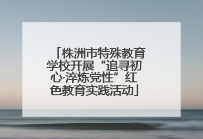 株洲市特殊教育学校开展“追寻初心·淬炼党性”红色教育实践活动