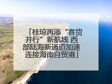 桂琼再添“客货并行”新航线 西部陆海新通道加速连接海南自贸港