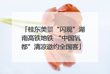 桂东美景“闪现”湖南高铁地铁 “中国氧都”清凉邀约全国客