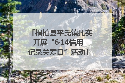桐柏县平氏镇扎实开展“6·14信用记录关爱日”活动