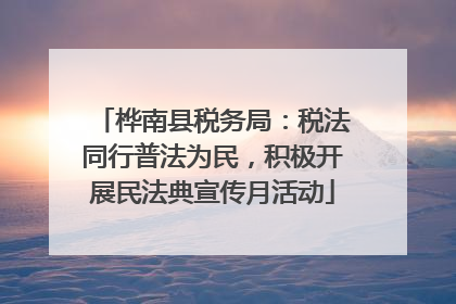 桦南县税务局：税法同行普法为民，积极开展民法典宣传月活动