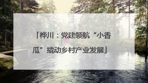 桦川：党建领航“小香瓜”撬动乡村产业发展