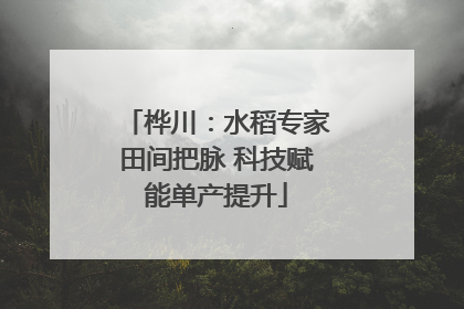 桦川：水稻专家田间把脉 科技赋能单产提升