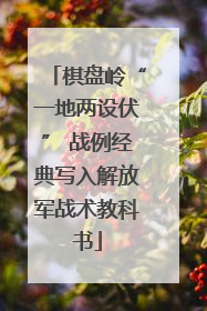 棋盘岭“一地两设伏” 战例经典写入解放军战术教科书