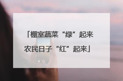 棚室蔬菜“绿”起来 农民日子“红”起来