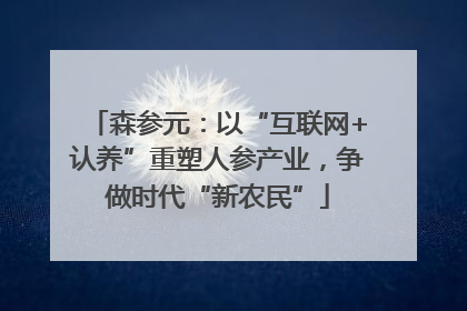 森参元：以“互联网+认养”重塑人参产业，争做时代“新农民”