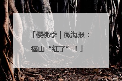 樱桃季｜微海报：福山“红了”！