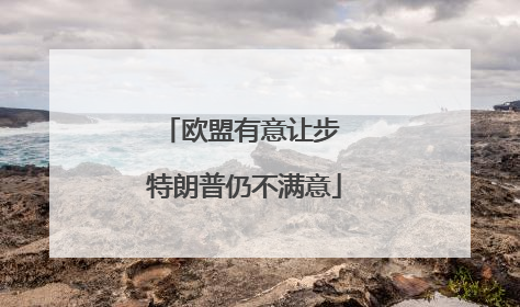 欧盟有意让步 特朗普仍不满意