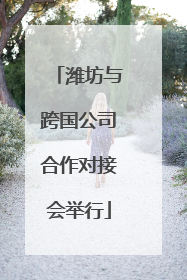 潍坊与跨国公司合作对接会举行