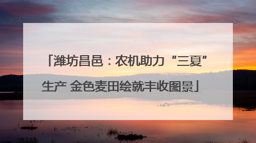 潍坊昌邑：农机助力“三夏”生产 金色麦田绘就丰收图景
