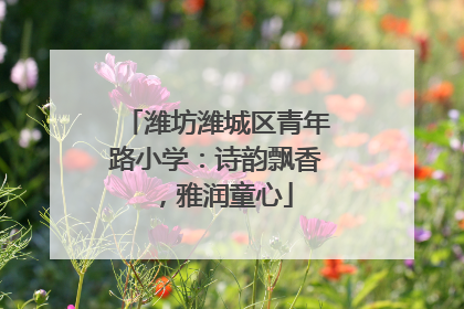 潍坊潍城区青年路小学：诗韵飘香，雅润童心