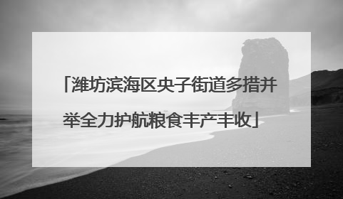 潍坊滨海区央子街道多措并举全力护航粮食丰产丰收