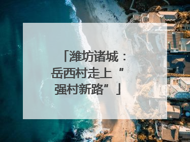 潍坊诸城：岳西村走上“强村新路”