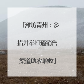 潍坊青州：多措并举打通销售渠道助农增收