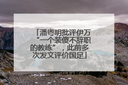 潘粤明批评伊万“一个装傻不辞职的教练”，此前多次发文评价国足