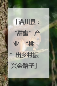 潢川县：“甜蜜”产业  “桃”出乡村振兴金路子