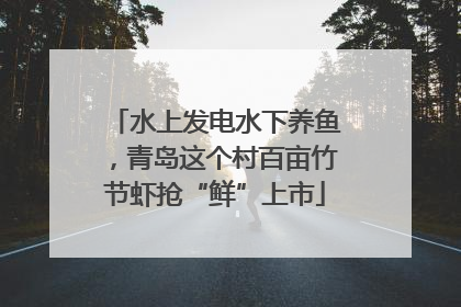 水上发电水下养鱼，青岛这个村百亩竹节虾抢“鲜”上市