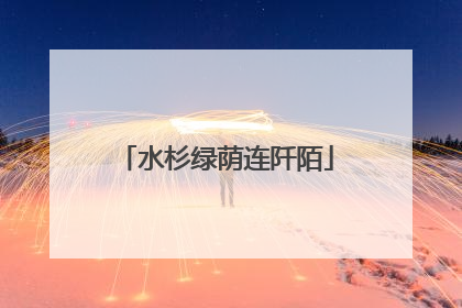 水杉绿荫连阡陌