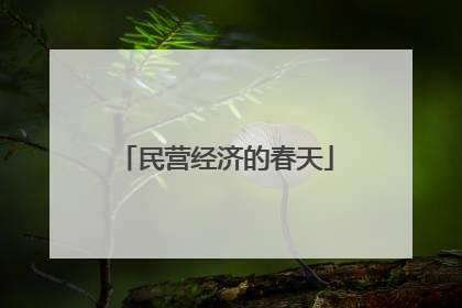 民营经济的春天