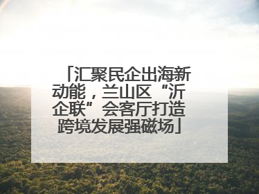 汇聚民企出海新动能，兰山区“沂企联”会客厅打造跨境发展强磁场