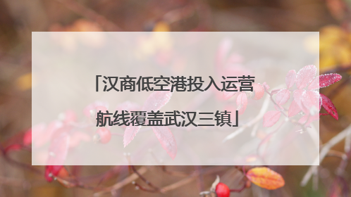 汉商低空港投入运营 航线覆盖武汉三镇