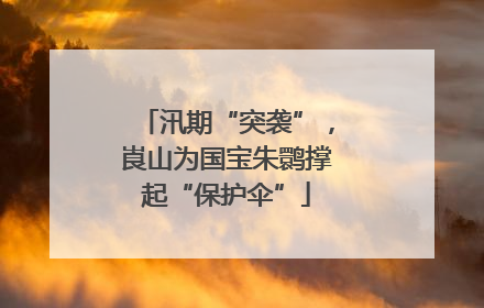 汛期“突袭”，崀山为国宝朱鹮撑起“保护伞”