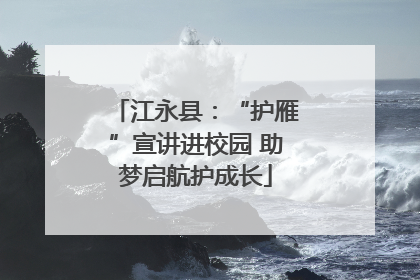 江永县：“护雁”宣讲进校园 助梦启航护成长