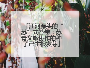 江河源头的“苏”式答卷：苏青文旅协作的种子已生根发芽