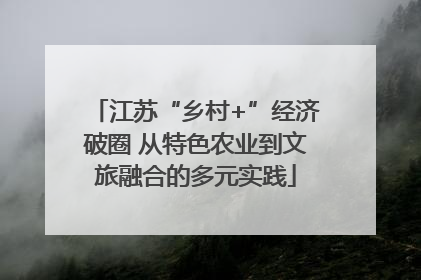 江苏“乡村+”经济破圈 从特色农业到文旅融合的多元实践