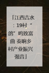 江西吉水：19村“鸽”鸣致富曲 奏响乡村产业振兴强音