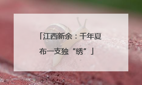 江西新余：千年夏布一支独“绣”