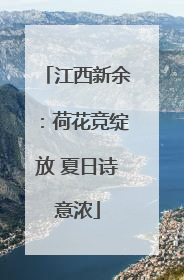 江西新余：荷花竞绽放 夏日诗意浓