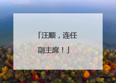 汪顺，连任副主席！