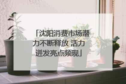 沈阳消费市场潜力不断释放 活力迸发亮点频现