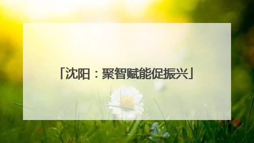 沈阳：聚智赋能促振兴