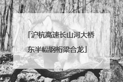 沪杭高速长山河大桥东半幅钢桁梁合龙