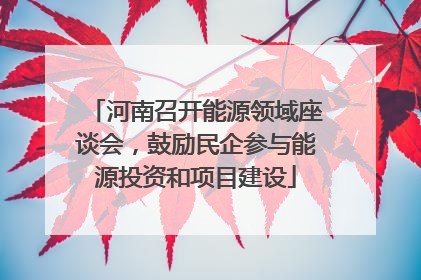 河南召开能源领域座谈会，鼓励民企参与能源投资和项目建设