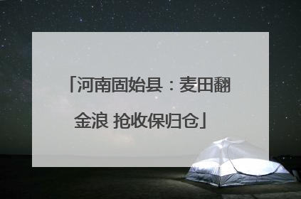 河南固始县：麦田翻金浪 抢收保归仓