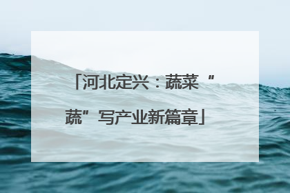 河北定兴：蔬菜“蔬”写产业新篇章